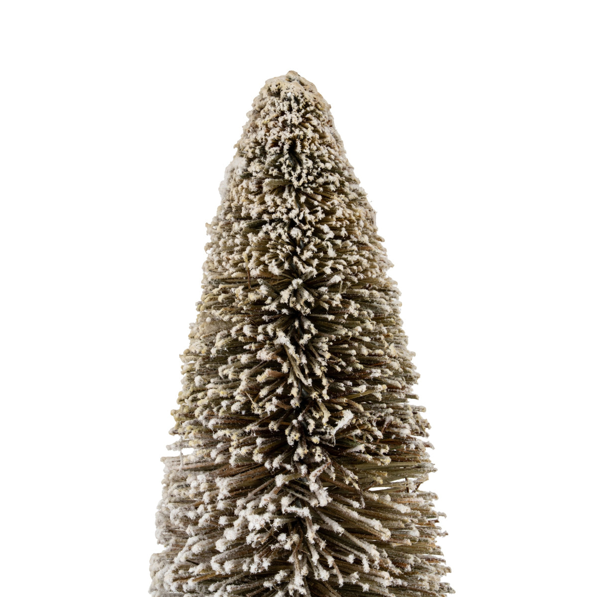 Medium Cone Brush Tree by SEDERVA - image 2