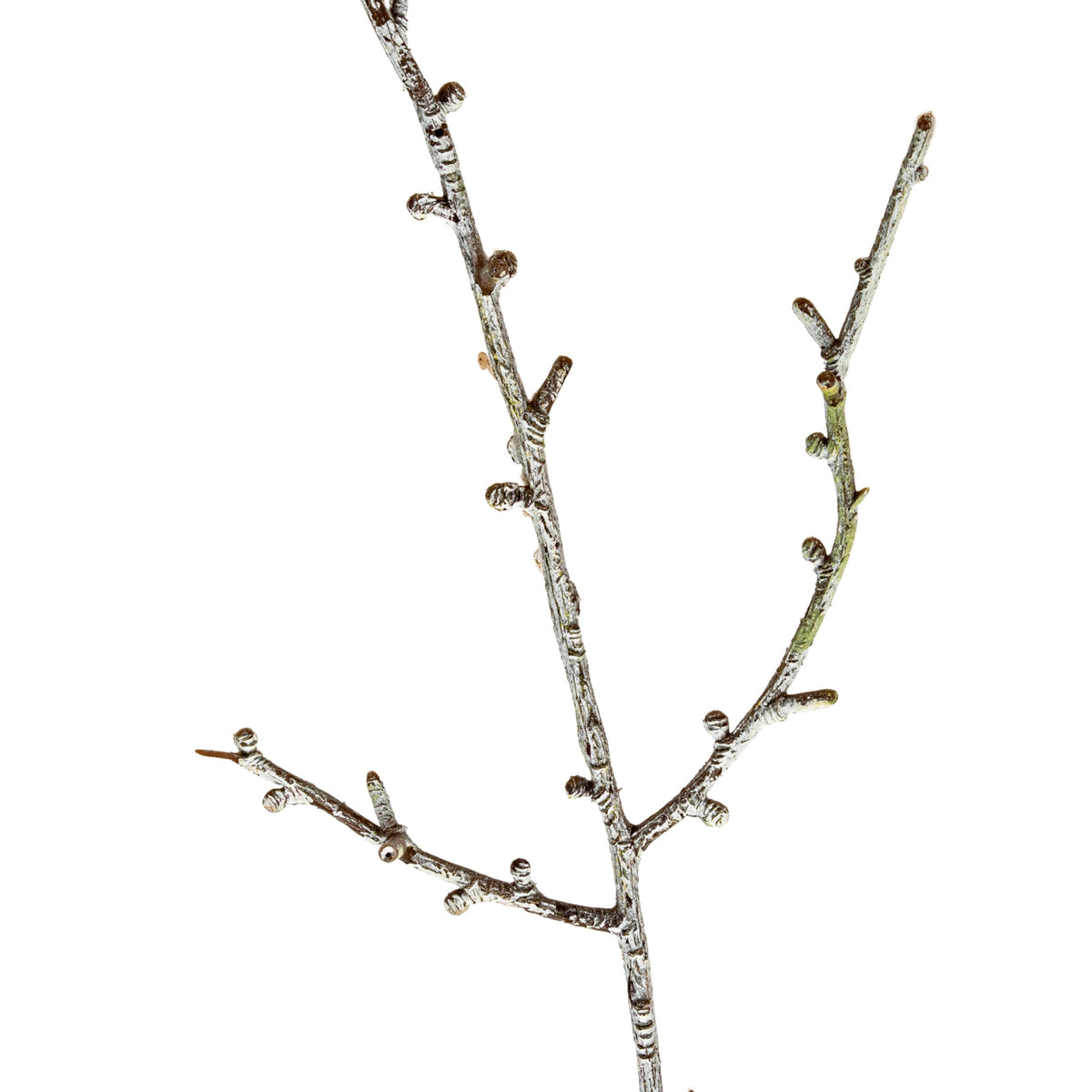 Snowy Winter Woodland Branch by Hill Interiors - image 2
