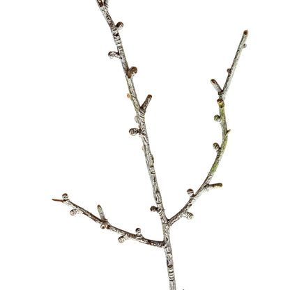 Snowy Winter Woodland Branch by Hill Interiors - image 2