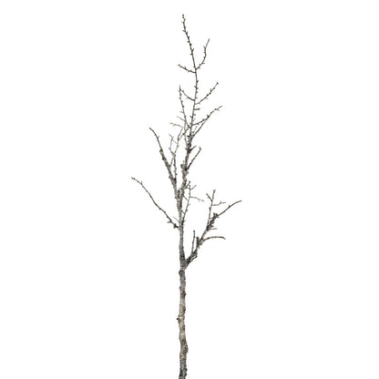 Snowy Winter Woodland Branch by Hill Interiors