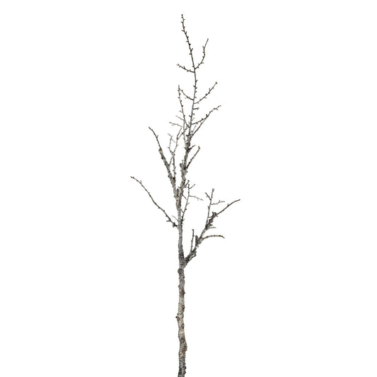 Snowy Winter Woodland Branch by Hill Interiors