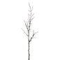Snowy Winter Woodland Branch by Hill Interiors