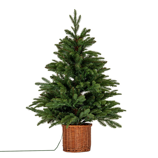 Norway Fir Pre-Lit LLED 300L Fir Tree In Rattan Pot by Hill Interiors