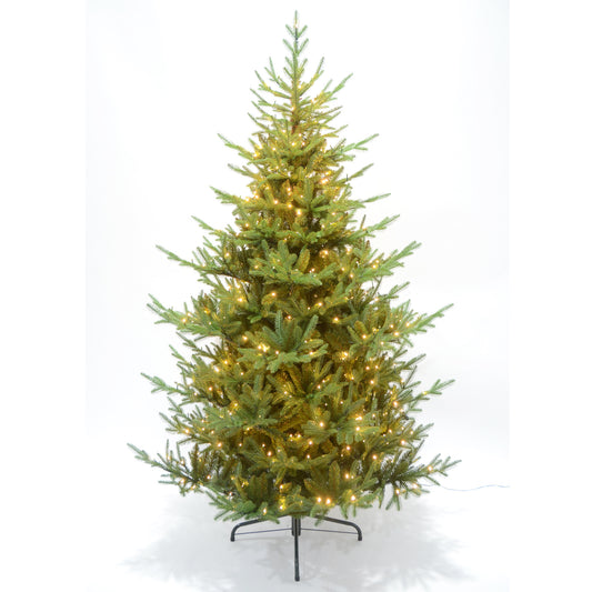 Green Spruce 7Ft Pre Lit 500 Led Christmas Tree by Hill Interiors
