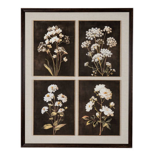 Flora & Fauna Collection Four Botanicals in Classic Frame by Hill Interiors