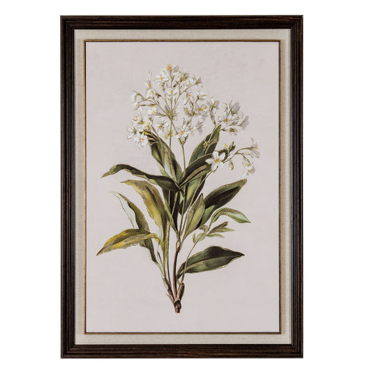 Flora & Fauna Collection White Wildflower on Linen in Frame by Hill Interiors