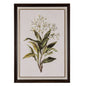 Flora & Fauna Collection White Wildflower on Linen in Frame by Hill Interiors