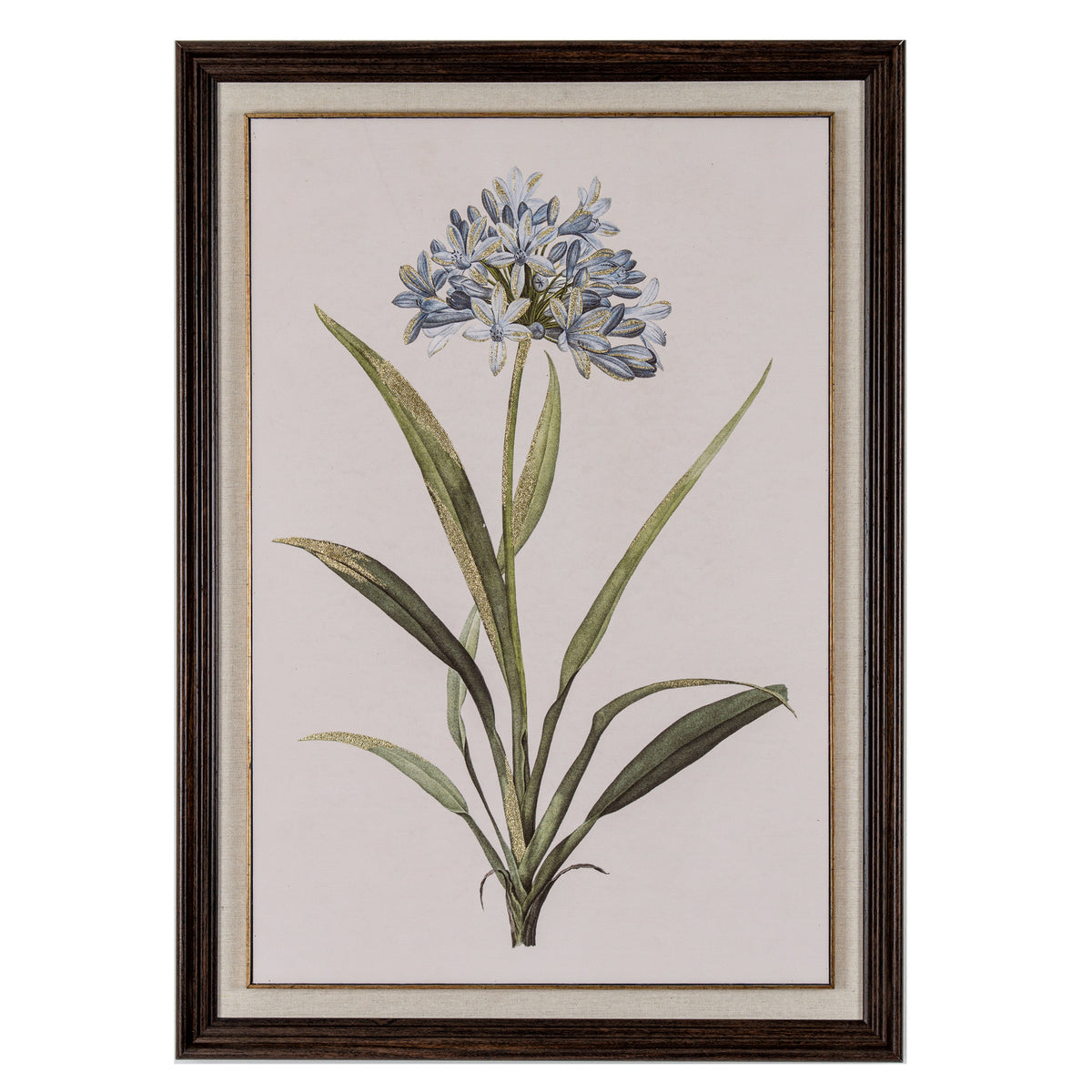 Flora & Fauna Collection Blue Wildflower in Frame by Hill Interiors