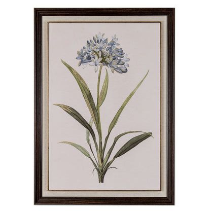 Flora & Fauna Collection Blue Wildflower in Frame by SEDERVA