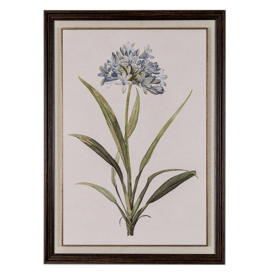 Flora & Fauna Collection Blue Wildflower in Frame by Hill Interiors