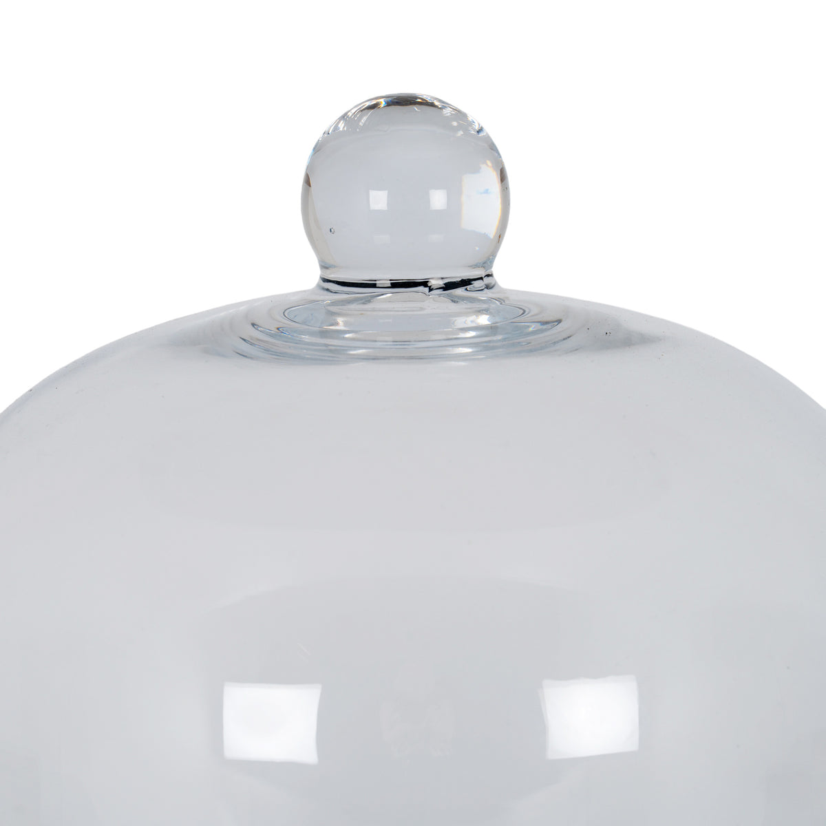 Medium Classic Glass Cloche With Wooden Tray by Hill Interiors - image 3