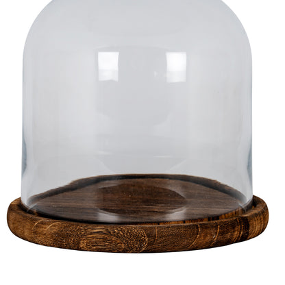 Medium Classic Glass Cloche With Wooden Tray by Hill Interiors - image 4