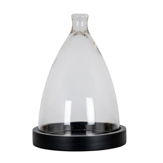 Cone Glass Cloche With Wooden Tray by Hill Interiors