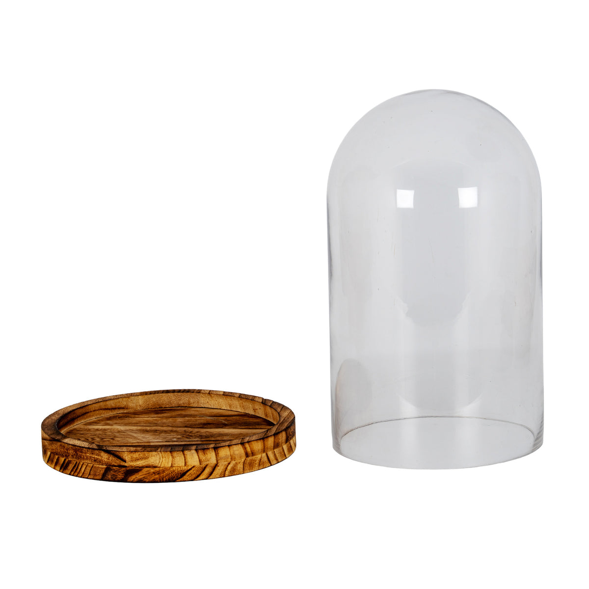 Large Classic Glass Cloche With Wooden Tray by Hill Interiors - image 2