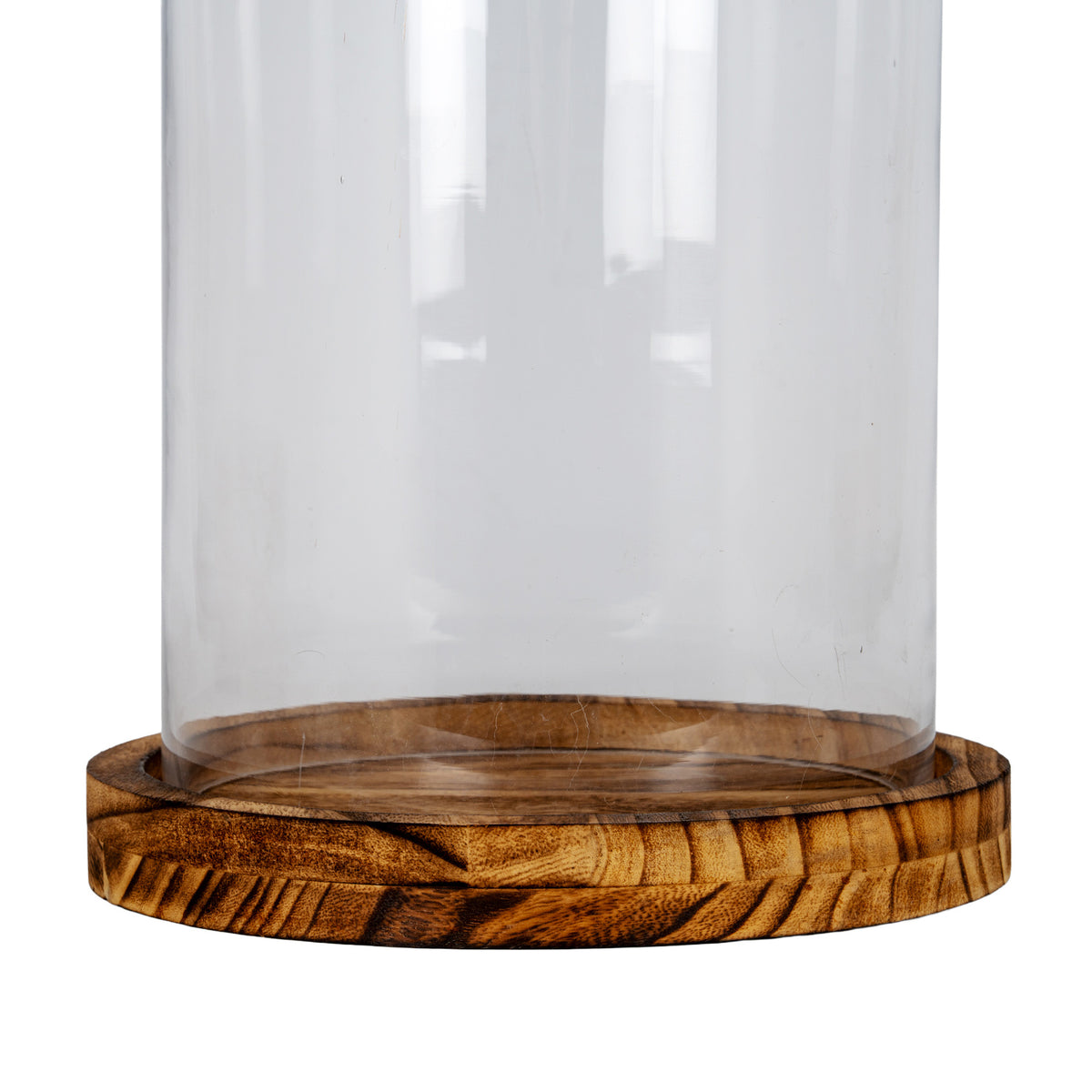 Large Classic Glass Cloche With Wooden Tray by Hill Interiors - image 3