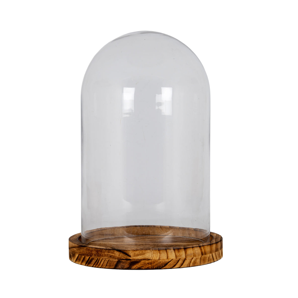 Large Classic Glass Cloche With Wooden Tray by Hill Interiors