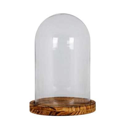 Large Classic Glass Cloche With Wooden Tray by Hill Interiors