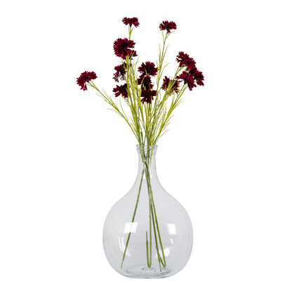 Large Glass Balloon Bottle Vase by Hill Interiors - image 2